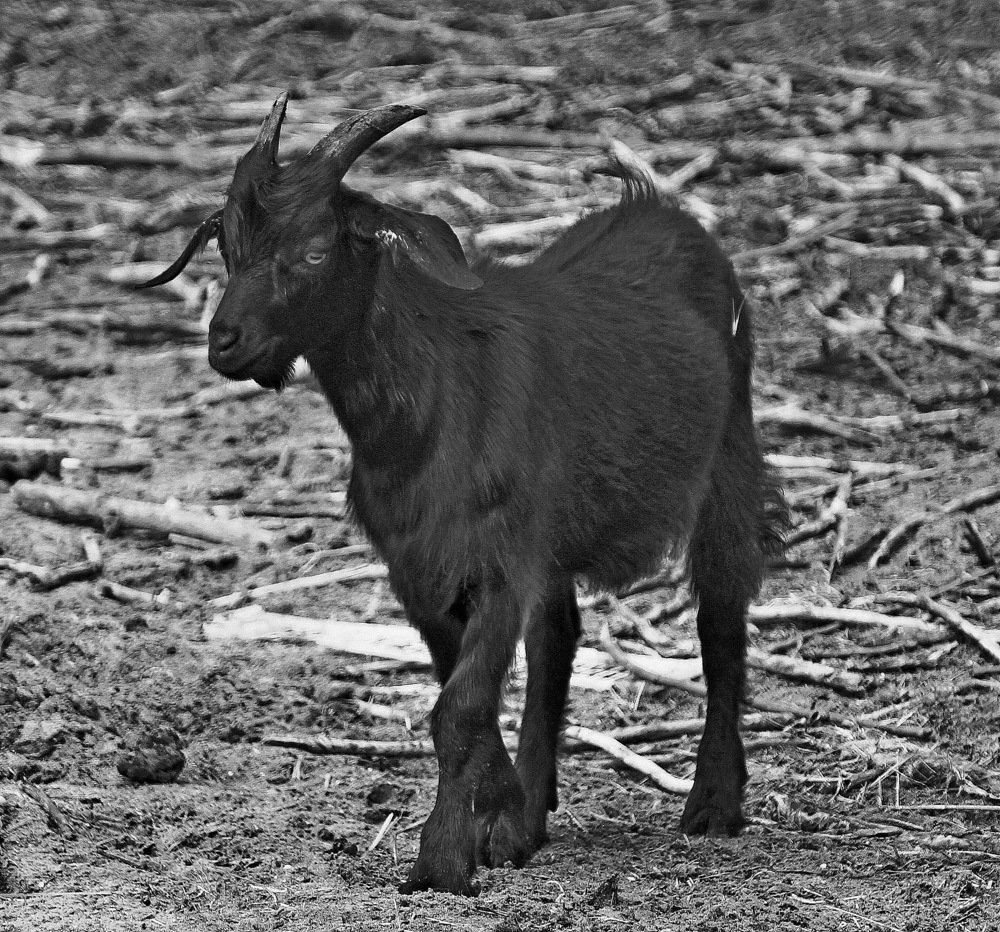 Photograph by Александр Бугаенко