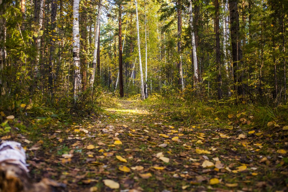 Photograph by Ирина Кузькина