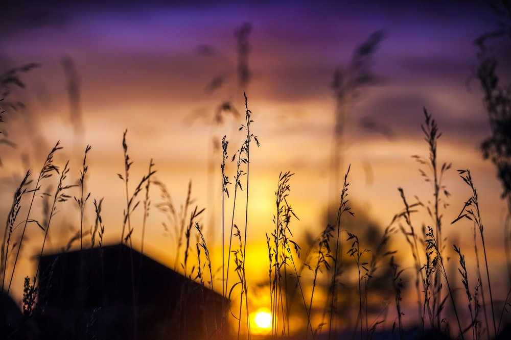 Photograph by Ирина Кузькина