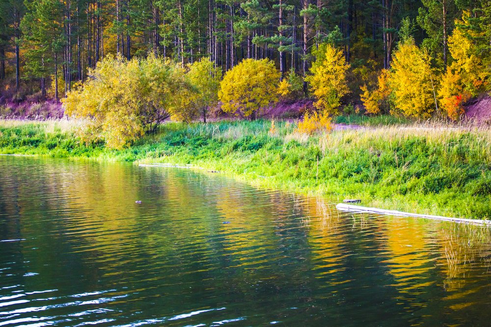 Photograph by Ирина Кузькина