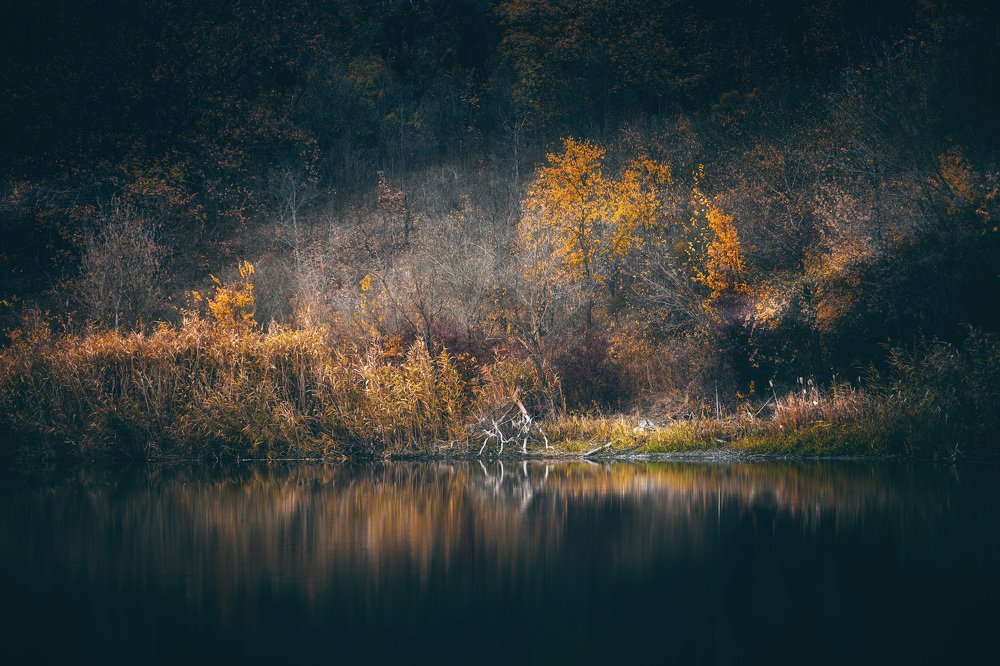 Photograph by логинов денис александрович