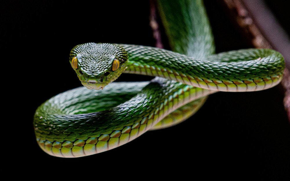 Photograph by Shah Hameem