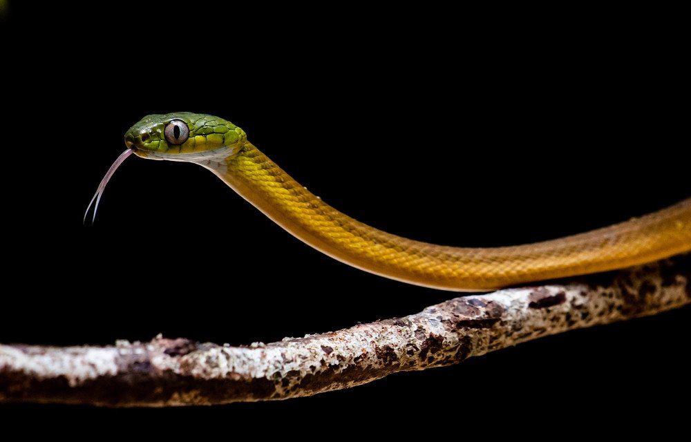 Photograph by Shah Hameem