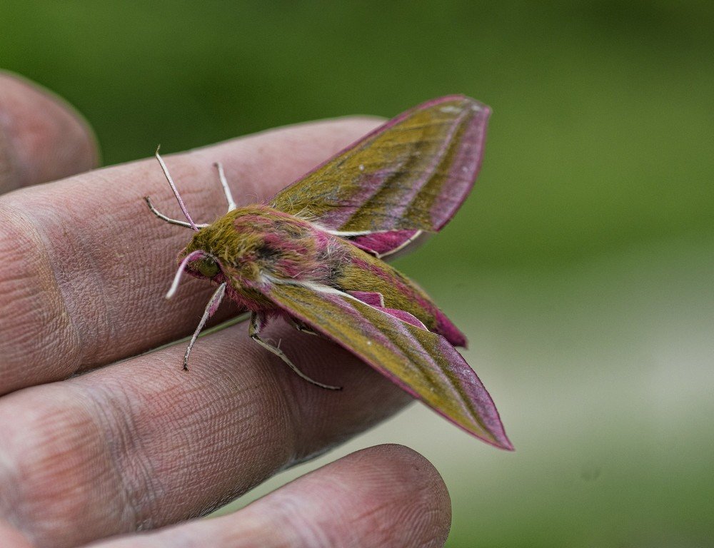 Photograph by Александр Викторович