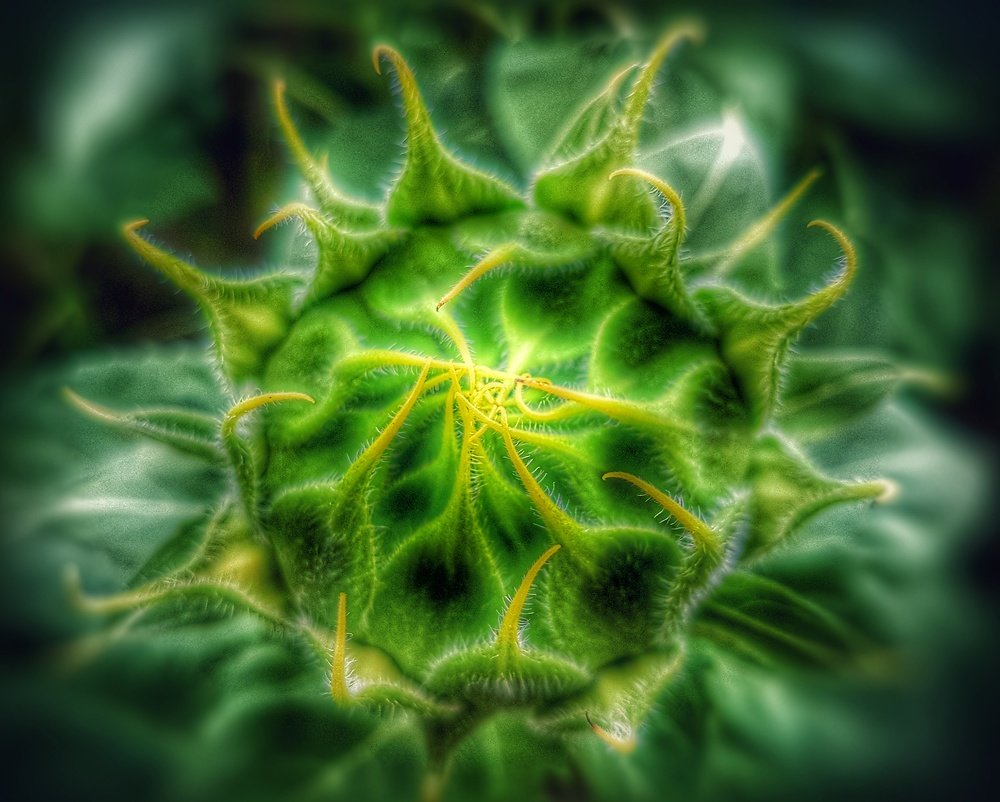 Photograph by Mojca Rebol