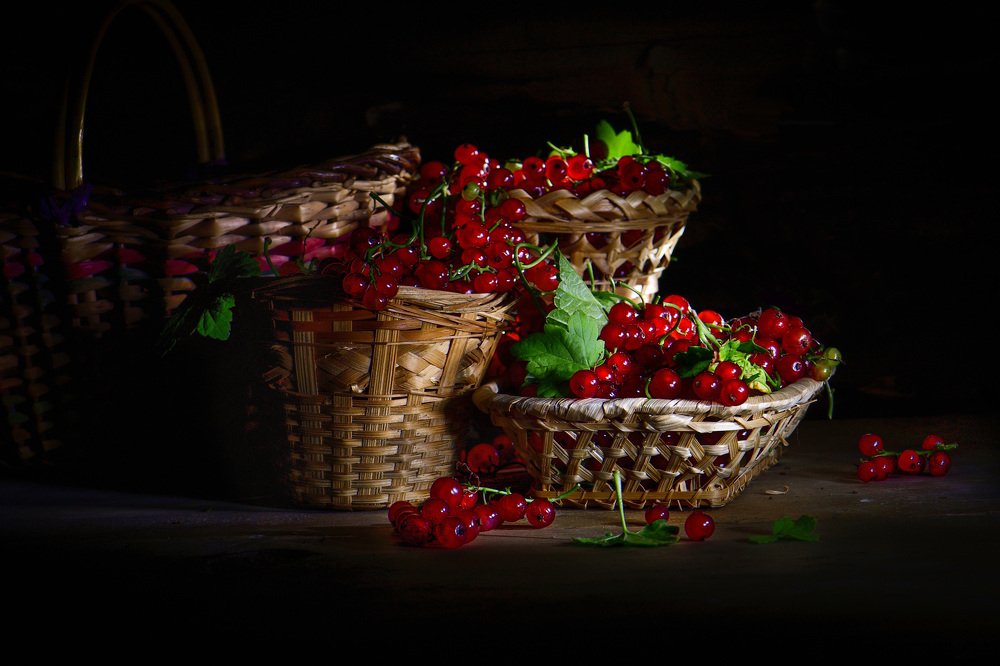 Photograph by Margarita