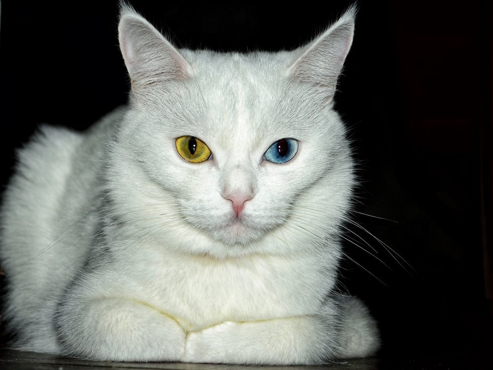 Photograph by Максим Солдатенко