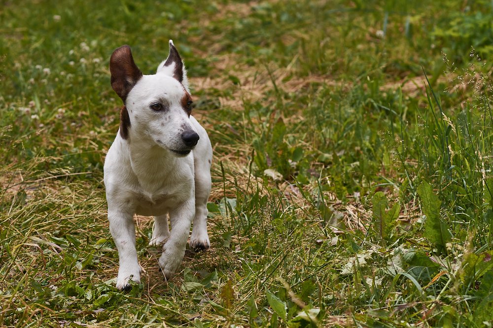 Photograph by Елена Ельцова