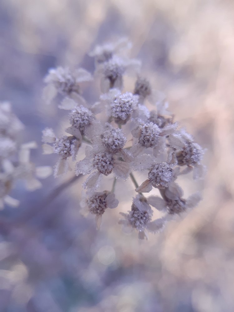 Photograph by Дарья Богославская