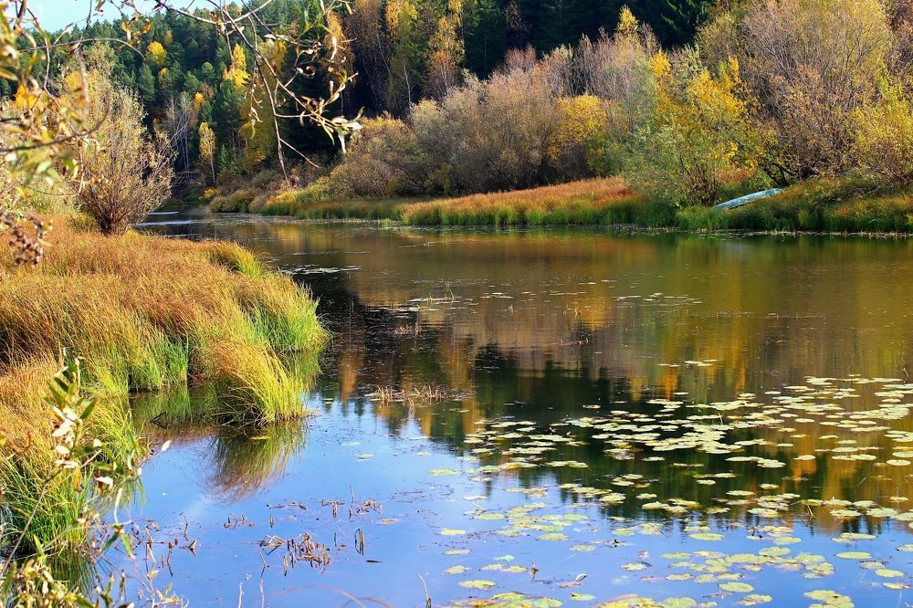 Осенняя жизнь.