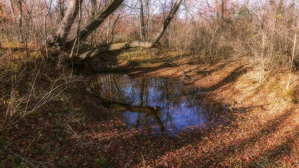 Photograph by Жанетта