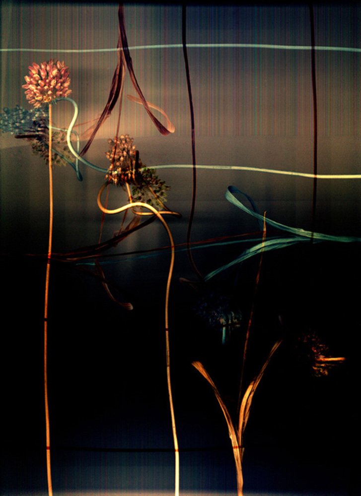 Photograph by Светлана Борозенцева