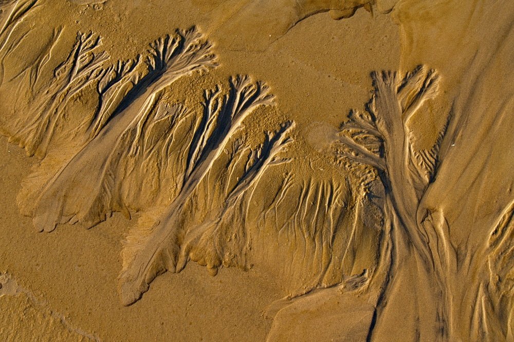 Photograph by Светлана Борозенцева