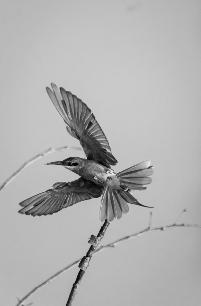 Фотография автора abhilash a k