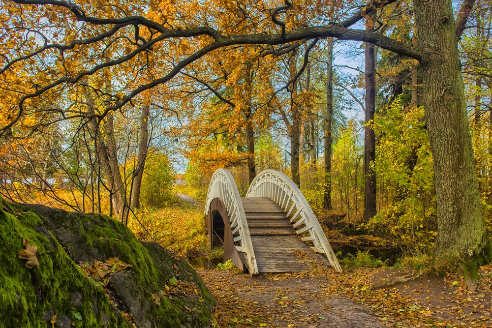 Photograph by Анна Кривицкая