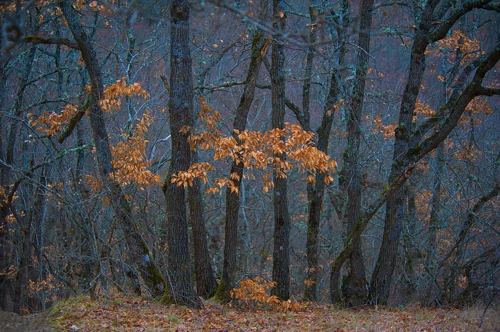 Photograph by Светлана Борозенцева