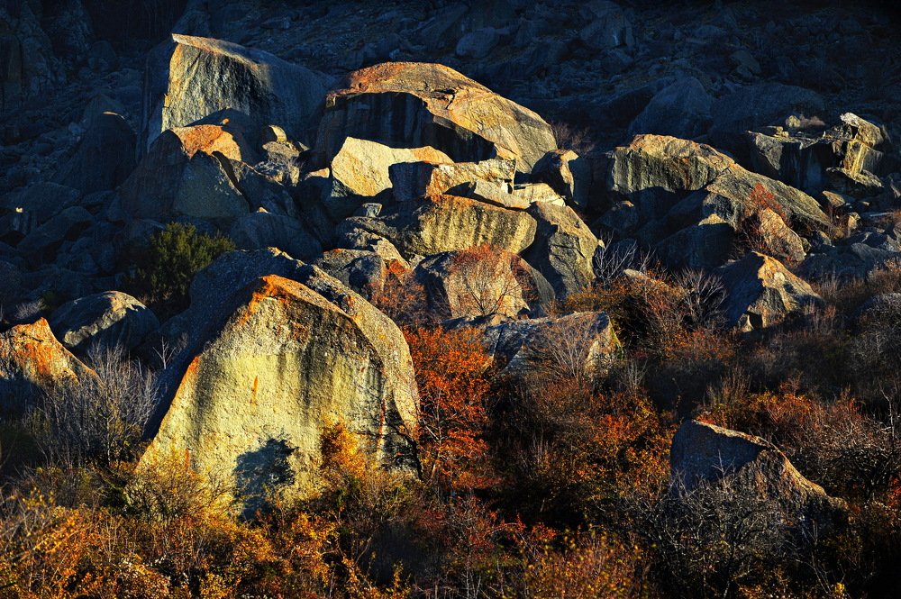 Photograph by Светлана Борозенцева