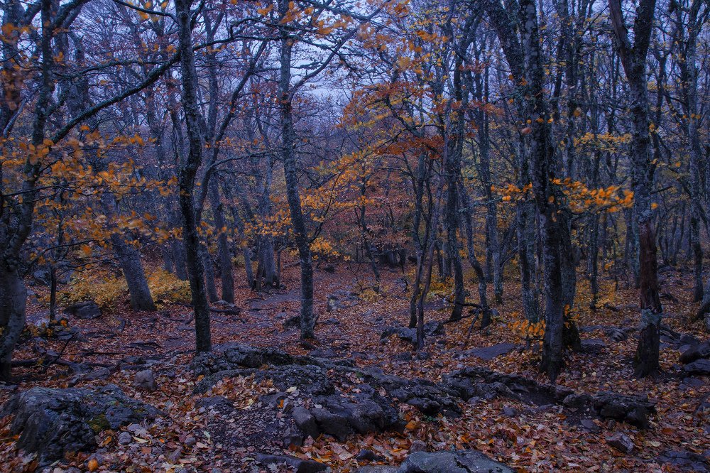 Photograph by Оксана Носкова