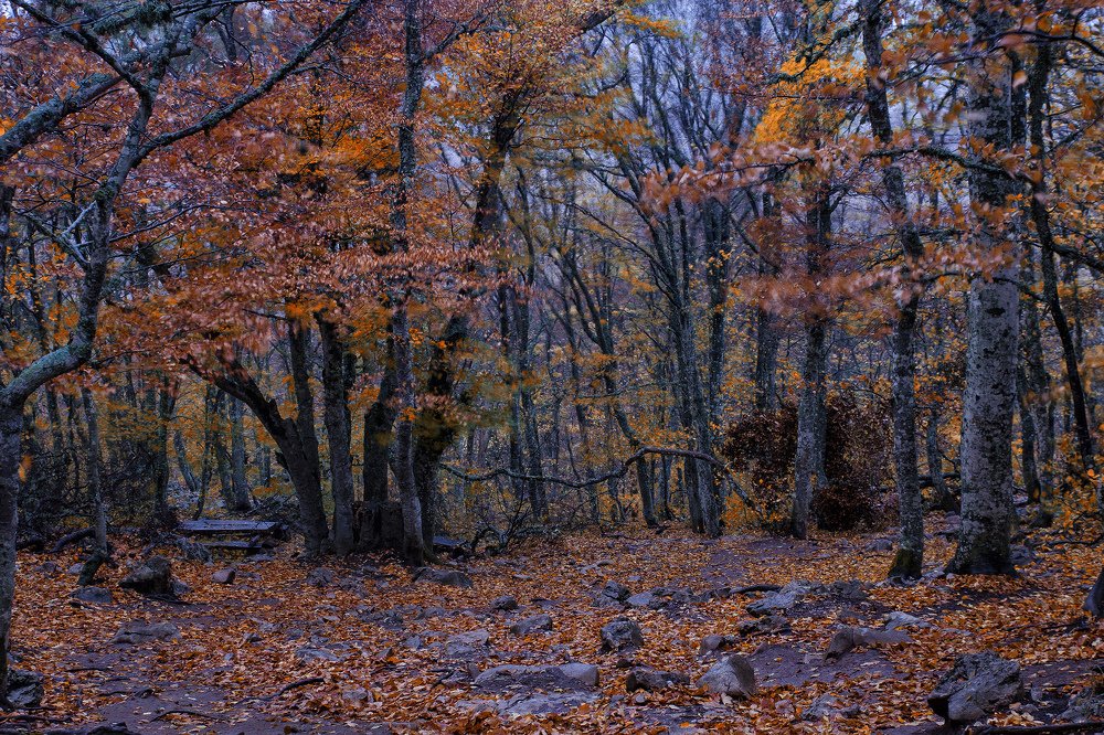 Photograph by Оксана Носкова