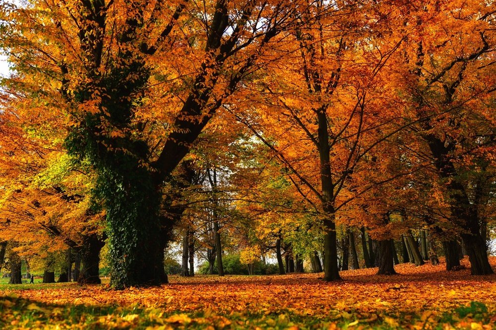 Фотография автора Justyna Jeżak