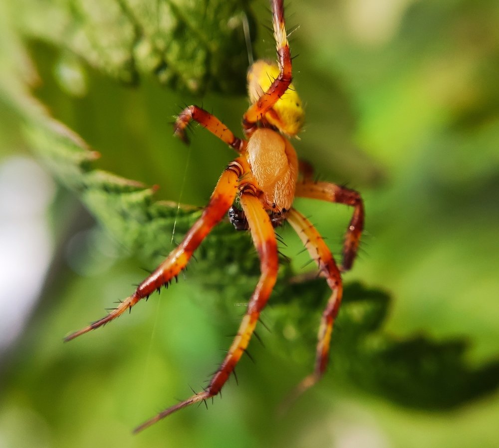 Фотография автора Станислав Ермолин