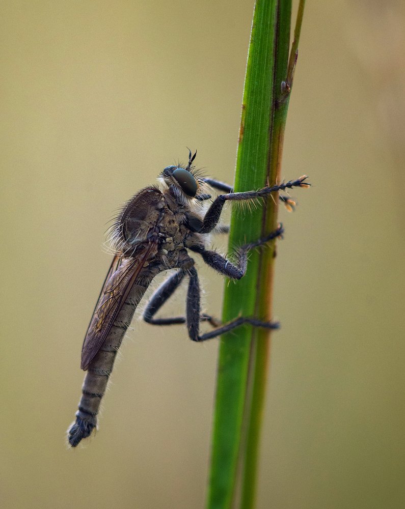 Photograph by Андрей Бурда