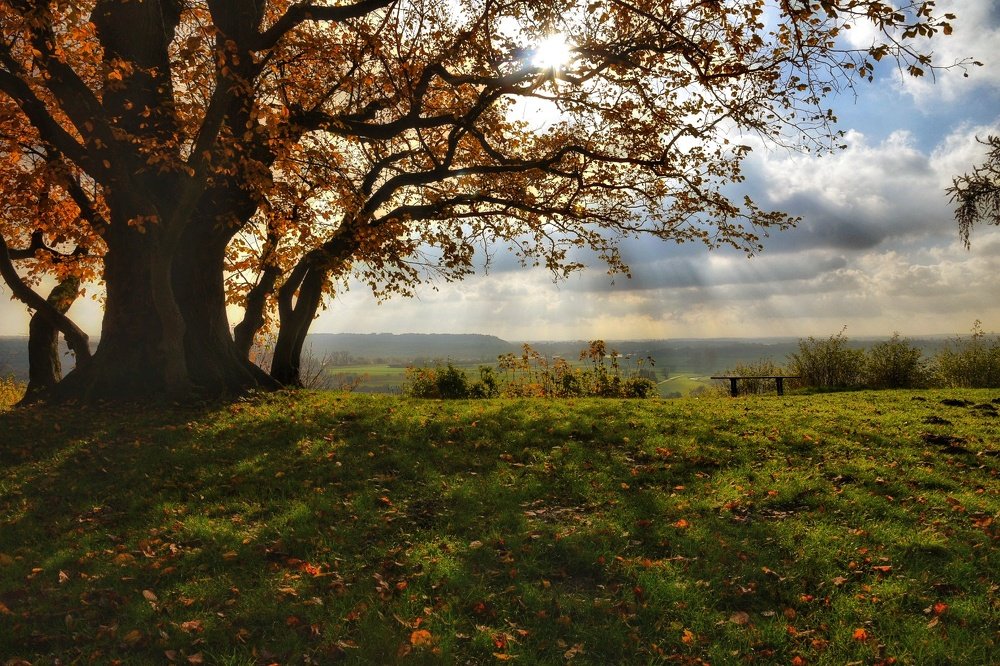 Фотография автора Justyna Jeżak