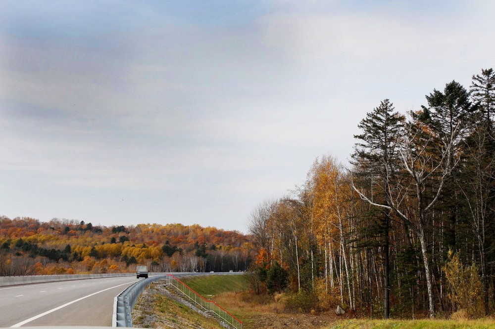 Photograph by Svetlana Victorovna Kibyakova