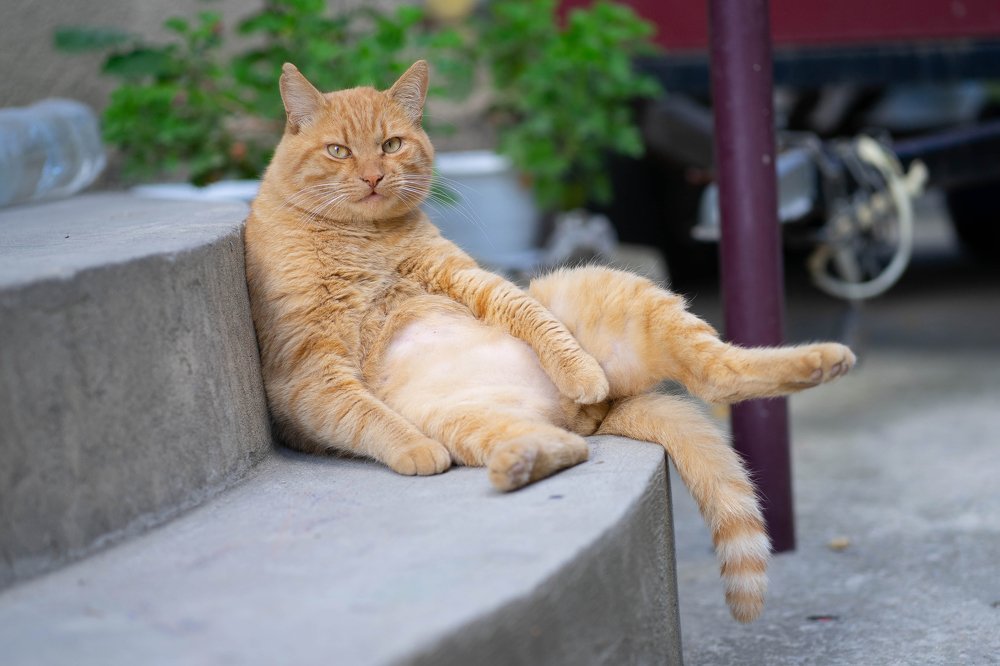 Photograph by Ксения Щербакова