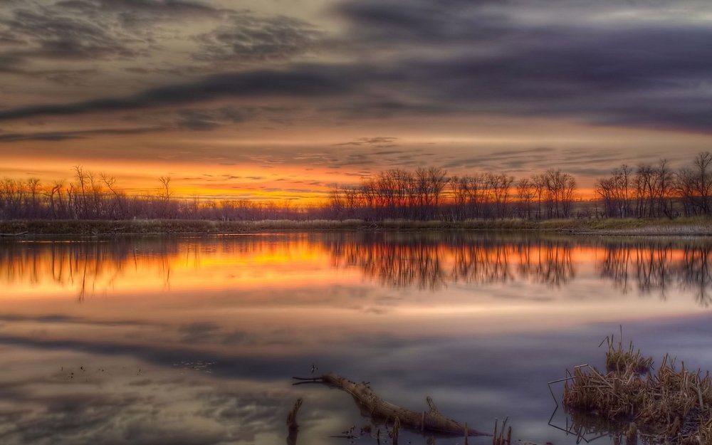 Фотография автора Razgulyaev Aleksandr