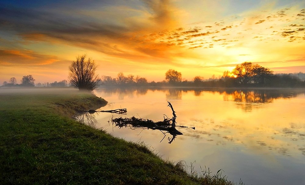 Фотография автора Razgulyaev Aleksandr