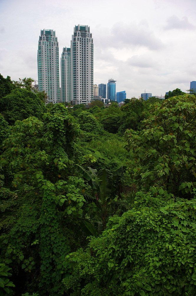 Photograph by Светлана Борозенцева