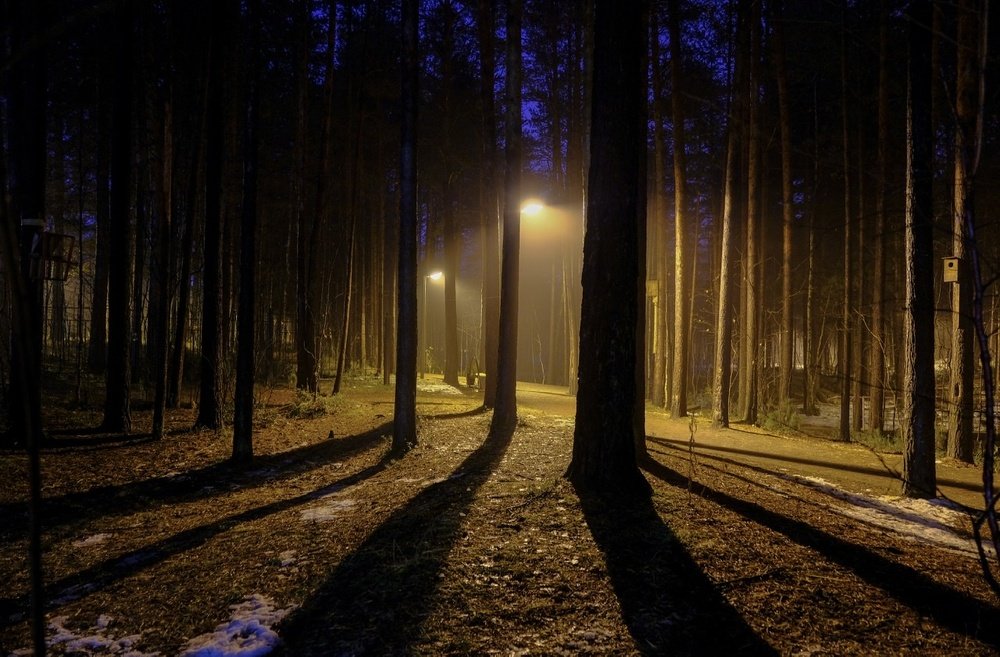 Photograph by Андрей Медведев