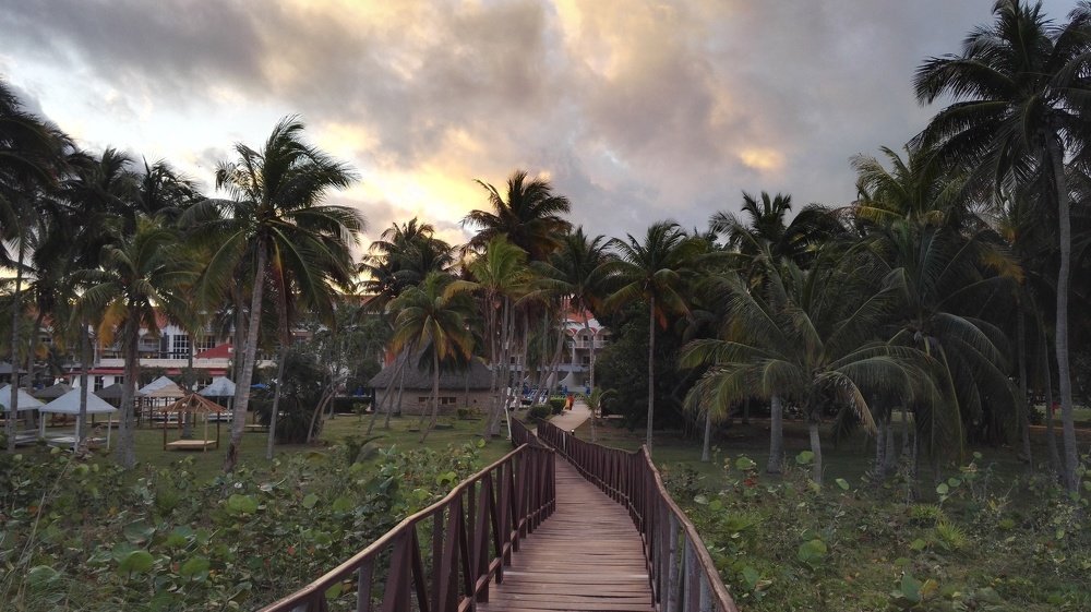 Photograph by Denis Starchikov