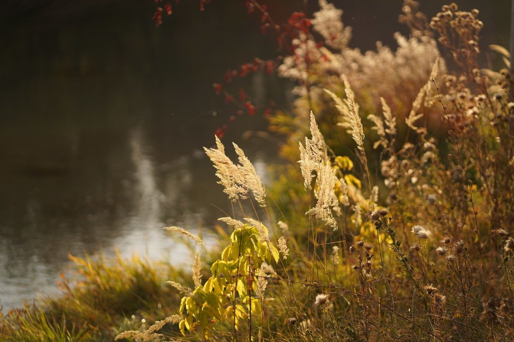 Фотография автора Sherry Igam