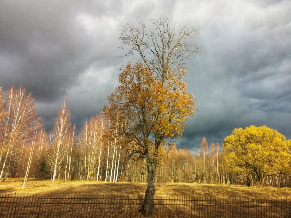 Photograph by Елена Амосова