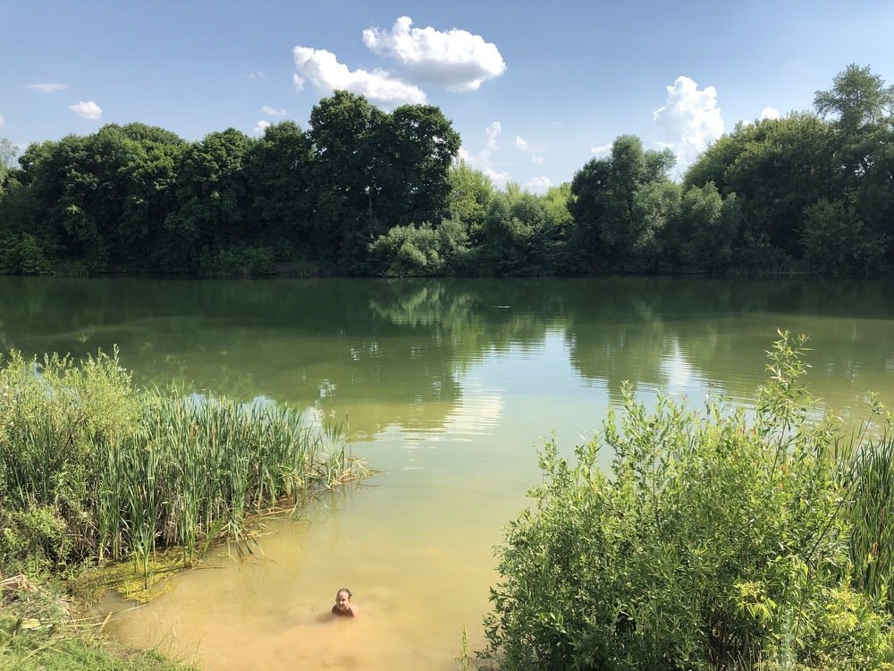 Photograph by Ирина Шипулина