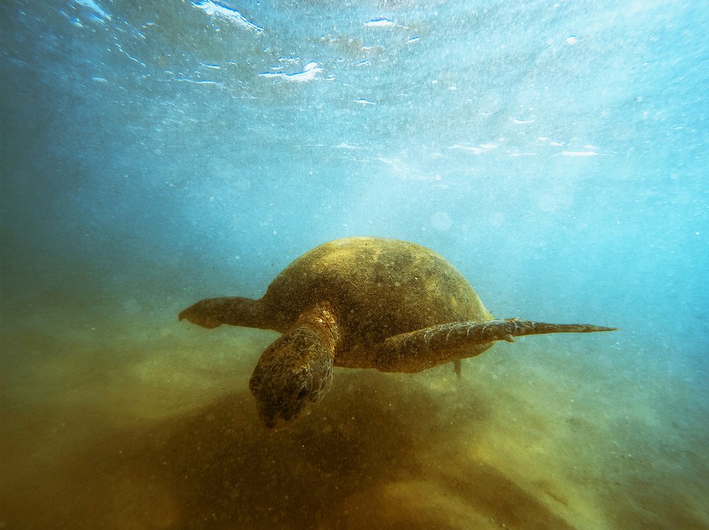 Photograph by Aeromast