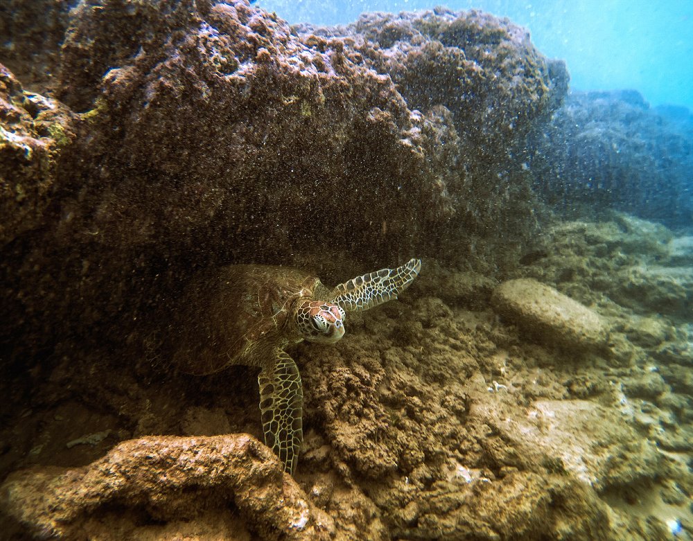 Photograph by Aeromast