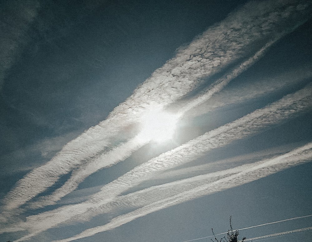 Photograph by Тамара Козлова
