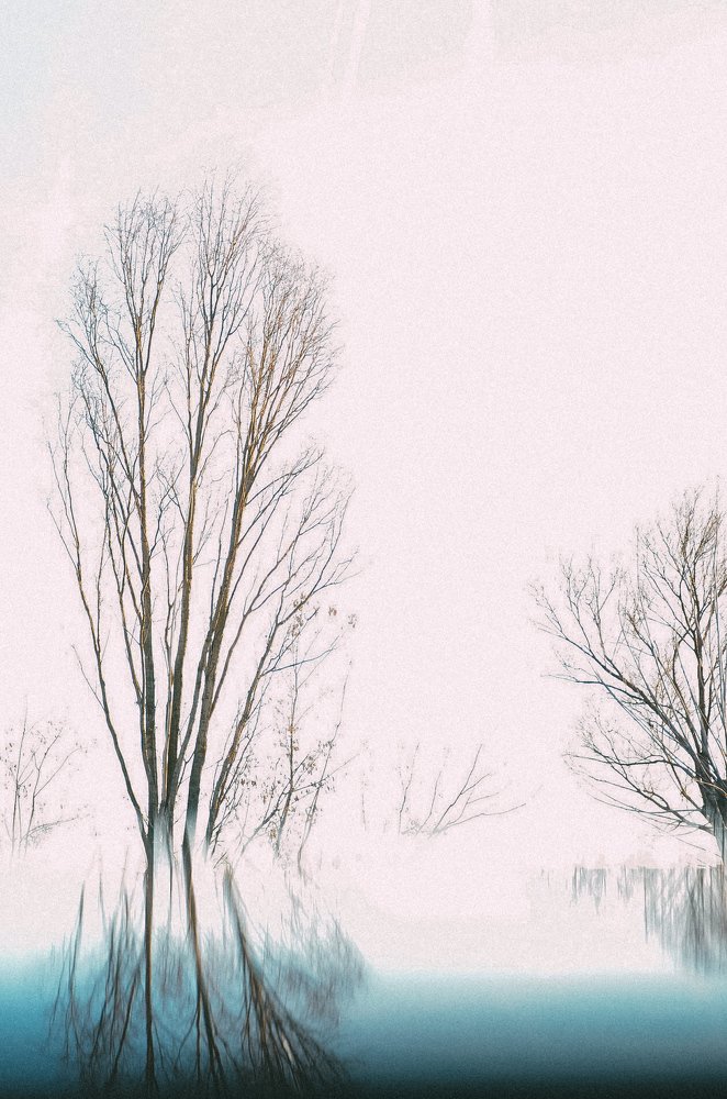 Photograph by Тамара Козлова