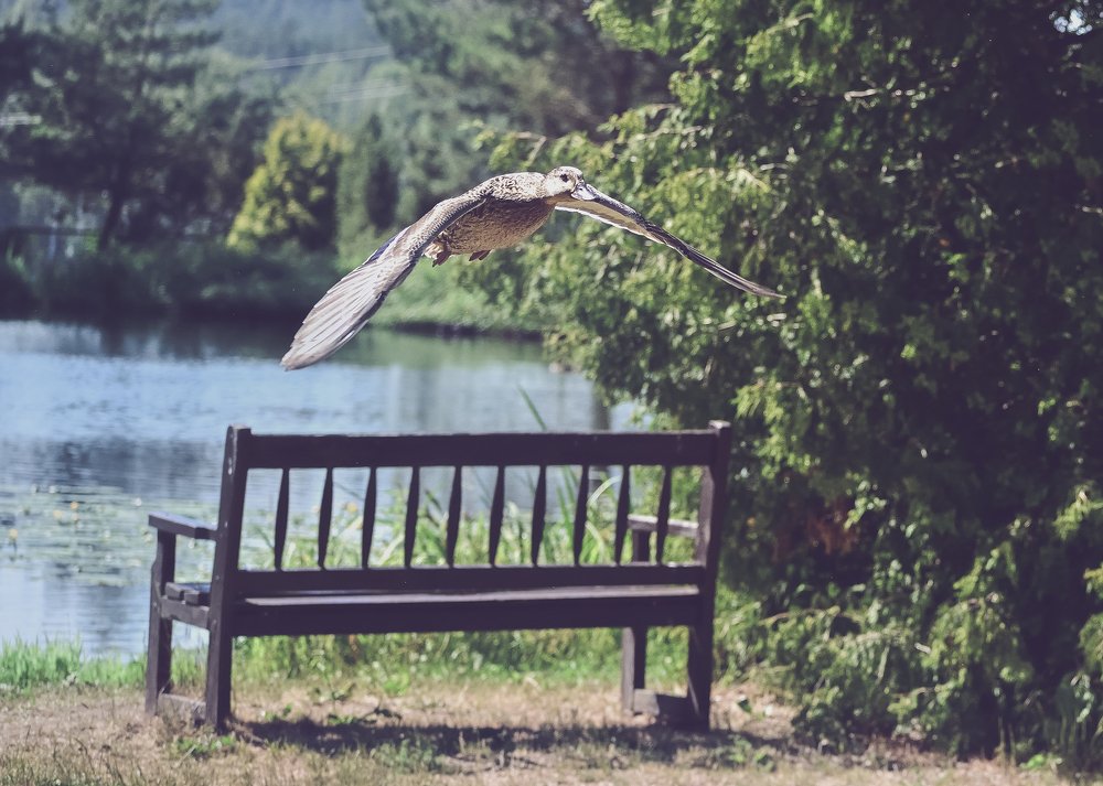 Photograph by Marius Žvikas