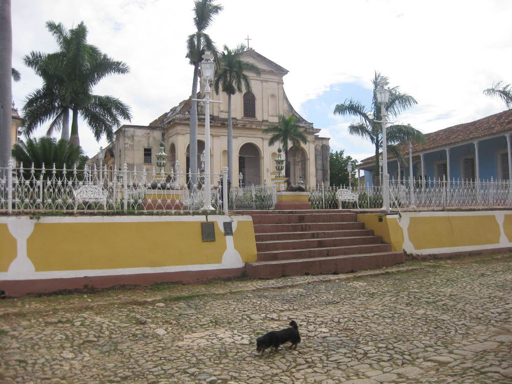 Photo #5164990