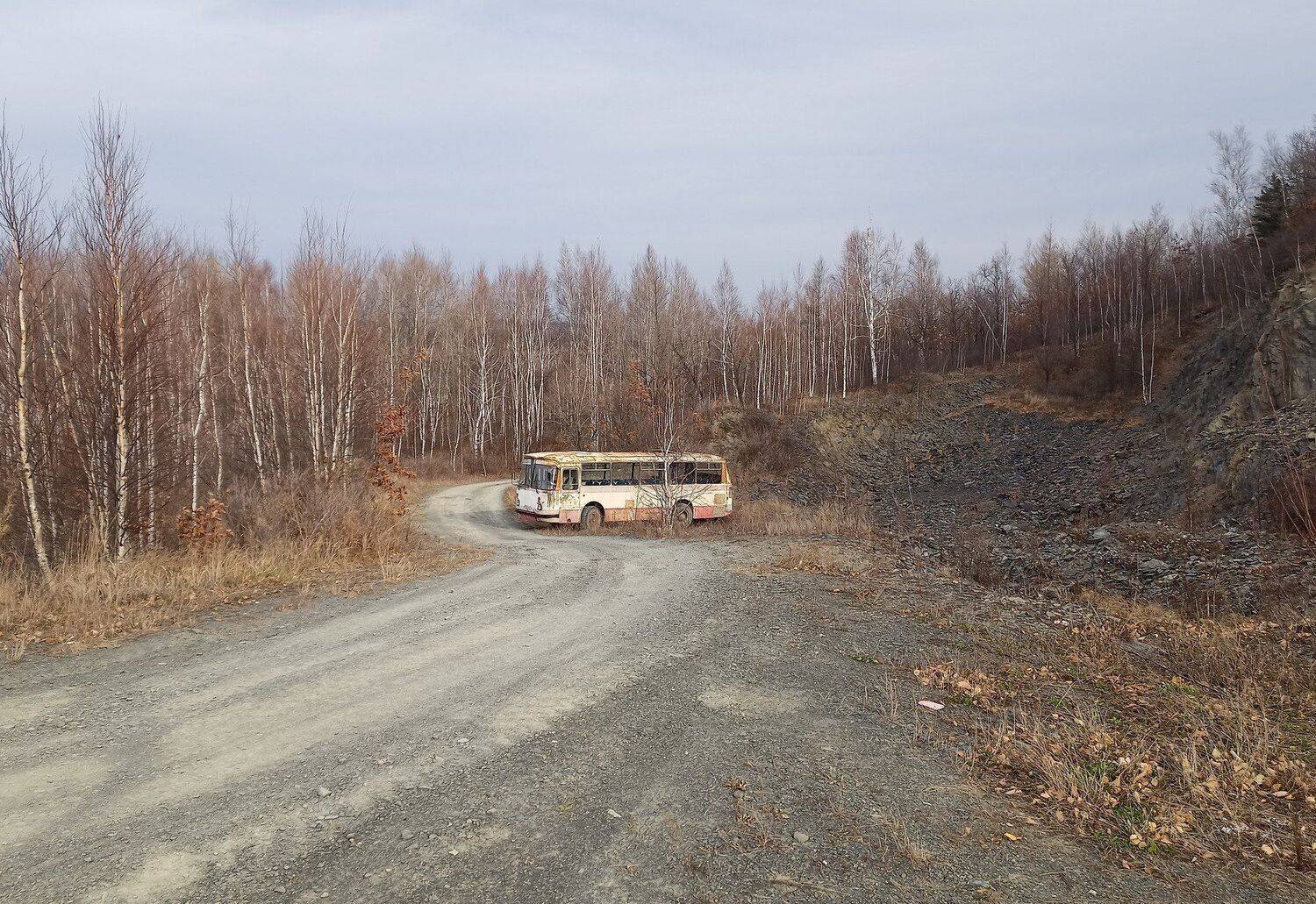 Photo #5165050