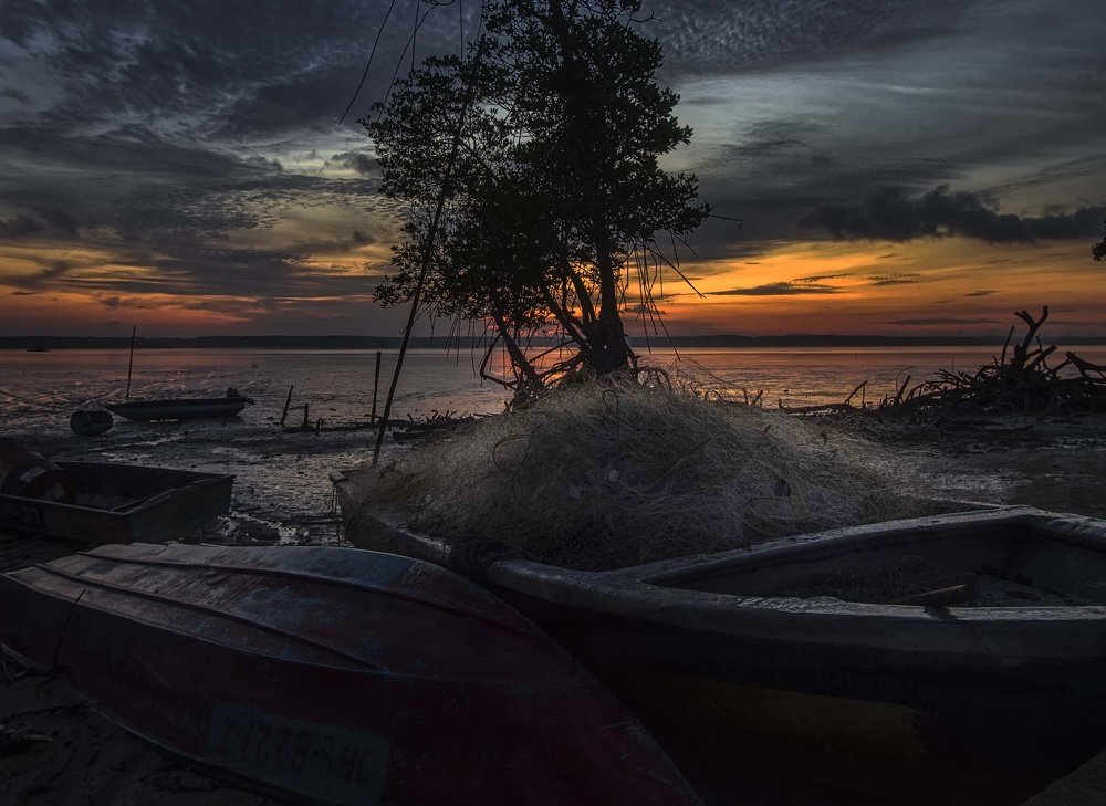 Photograph by micheal goh