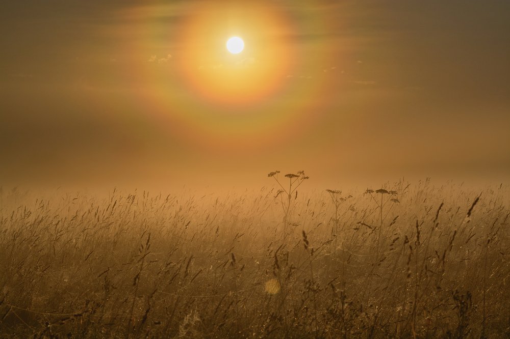 Круги тепла | Circles of warmness