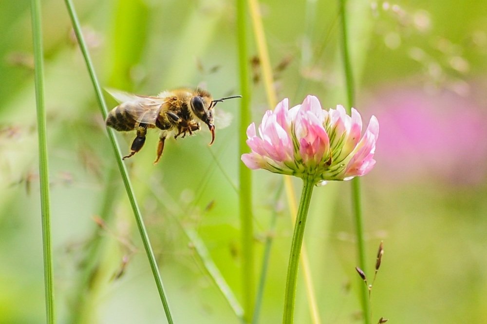 Photograph by Дмитрий Балатский