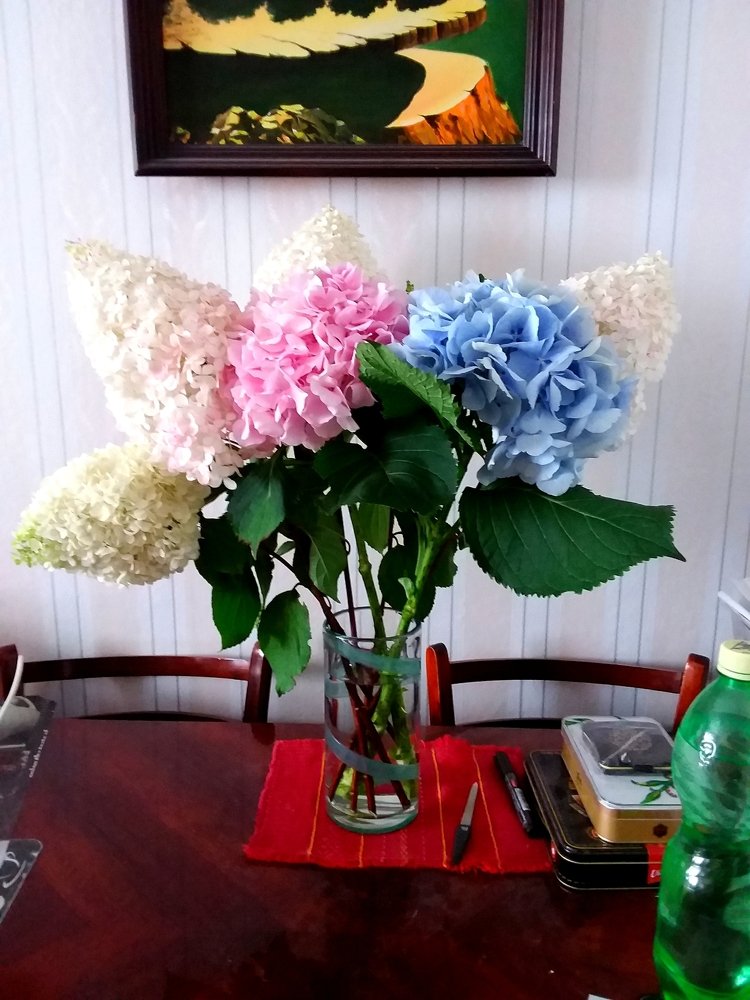 Photograph by Ольга Ковзик