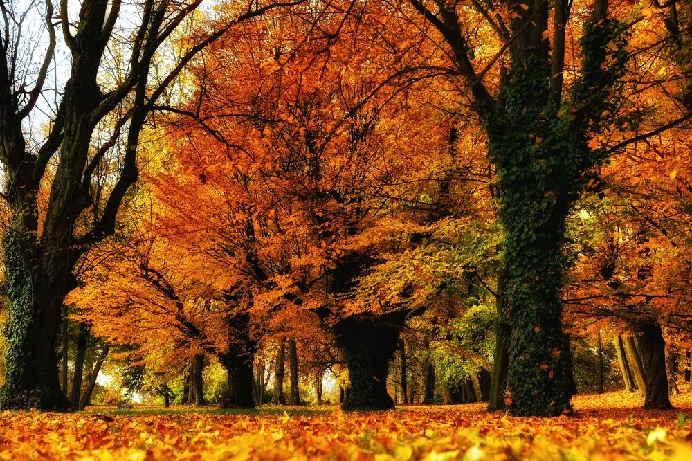 Фотография автора Justyna Jeżak