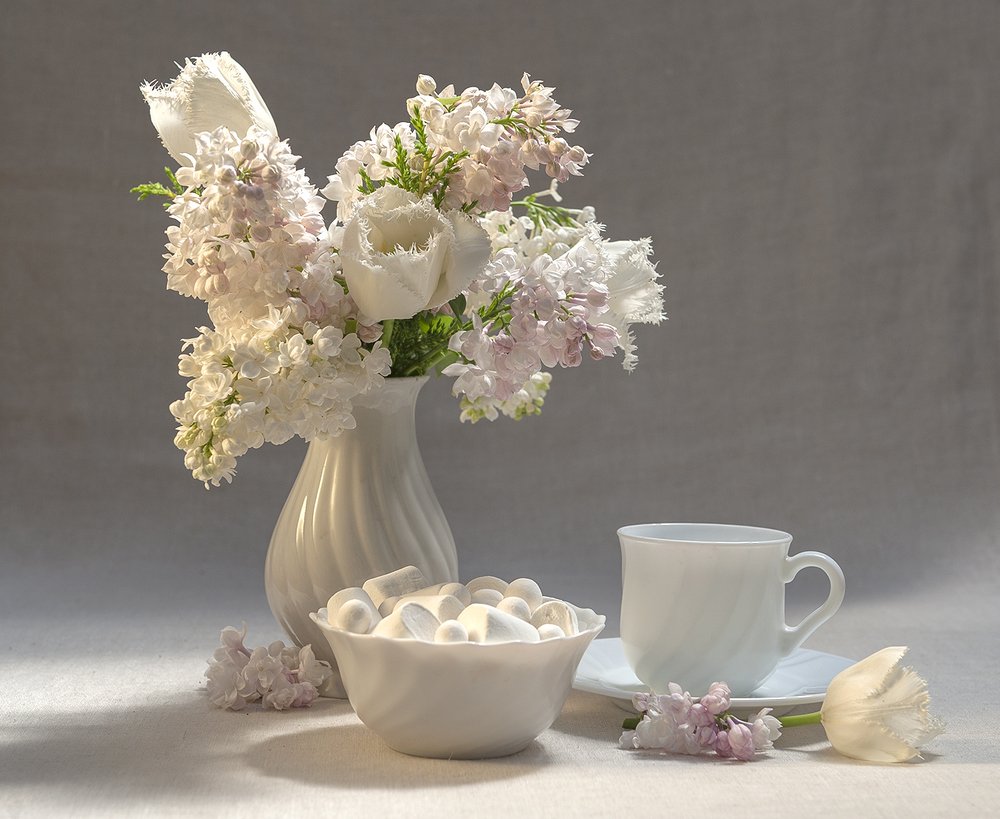 Сорт сирени"Красавица Москвы"